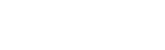 FlowForce Max Logo